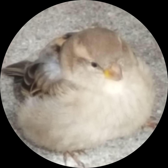 peanutbuster